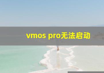 vmos pro无法启动